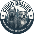 Chigo Bullies